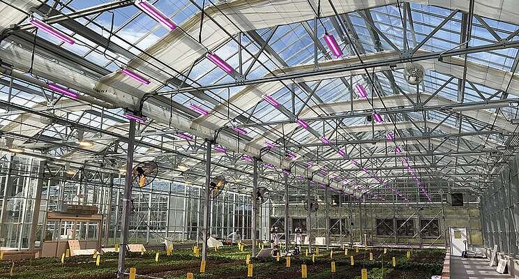 How can you make LED grow lights more affordable? How can you make LED grow lights more affordable?