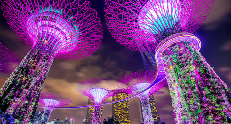 Singapore funds Signify for online horticultural center Singapore funds Signify for online horticultural center