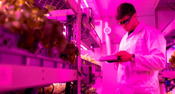2022 & Vertical industry data — A sleeping giant awakens 2022 & Vertical industry data — A sleeping giant awakens