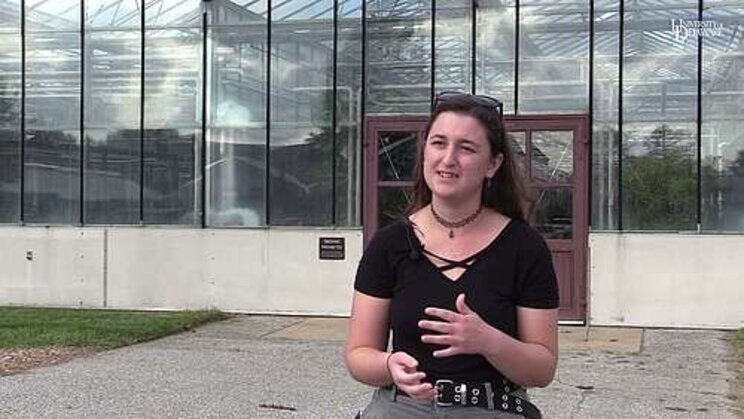 Growing food without soil Growing food without soil