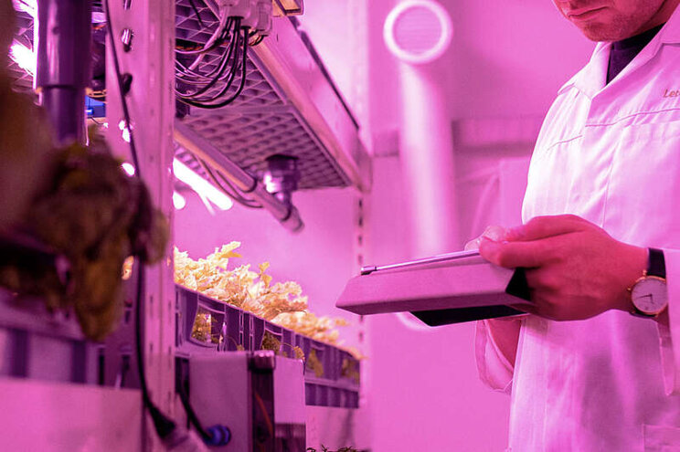 AgTech: The role of tech in a new green world AgTech: The role of tech in a new green world