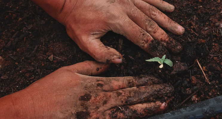 Hydrogel to stimulate carbon storage in soils Hydrogel to stimulate carbon storage in soils