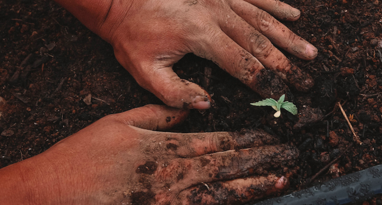 Hydrogel to stimulate carbon storage in soils