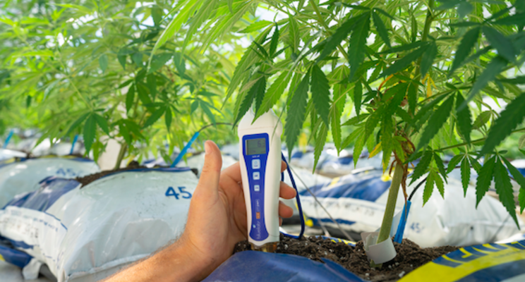 Oregon cannabis company guides industry path to sustainability Oregon cannabis company guides industry path to sustainability