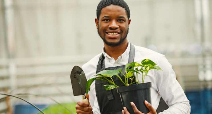 Six gardening trends to monitor for 2022 Six gardening trends to monitor for 2022