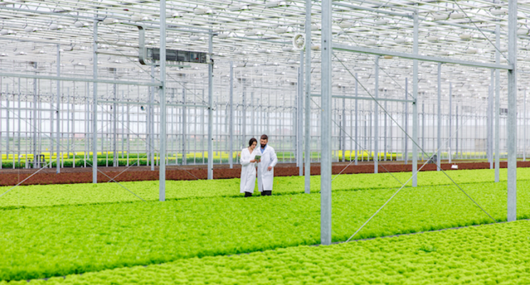 New research project targets light, biocontrols relationship New research project targets light, biocontrols relationship