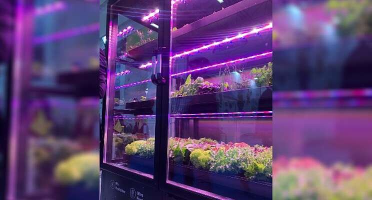 Vertical farming: Global markets to 2026 Vertical farming: Global markets to 2026