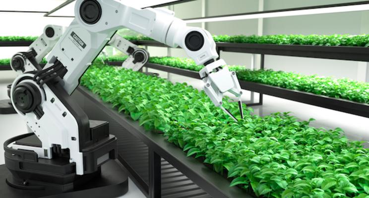 A harvesting robot and the future of farming A harvesting robot and the future of farming