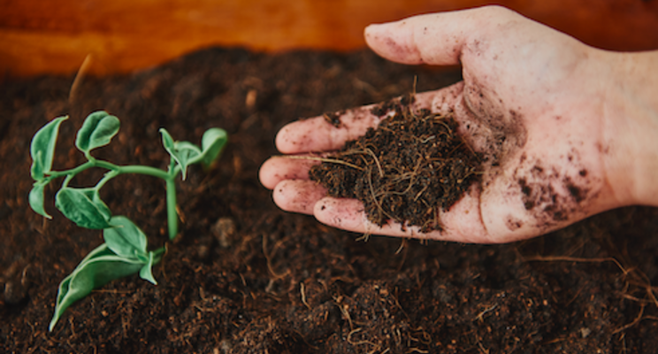 Problems with your growing media? Suppliers have answers Problems with your growing media? Suppliers have answers