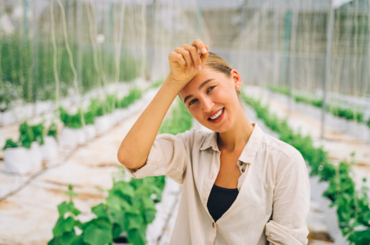 De Ruiter to grow greenhouse cucumbers De Ruiter to grow greenhouse cucumbers