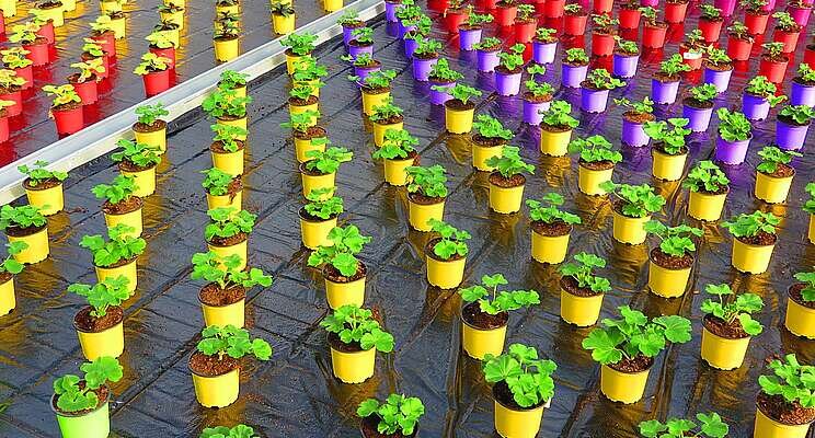 $?50 million capital fund for agtech start-ups launched $?50 million capital fund for agtech start-ups launched