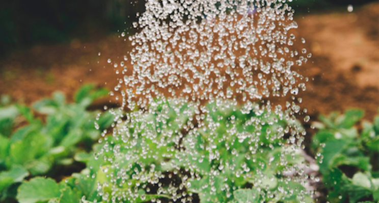 Predicting future changes in water quality Predicting future changes in water quality