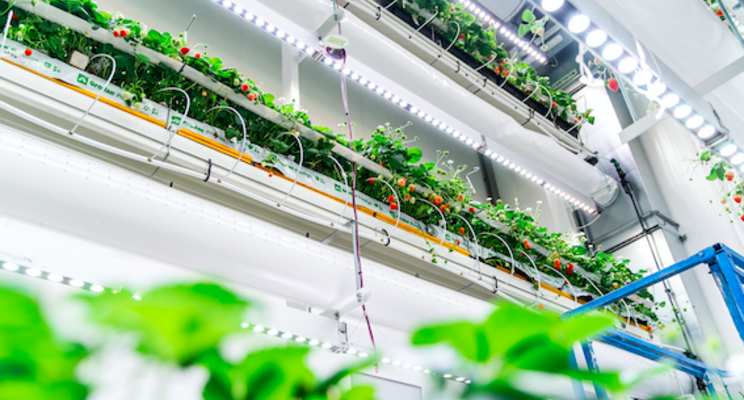 European patent PlantLab annulled after Certhon objection European patent PlantLab annulled after Certhon objection