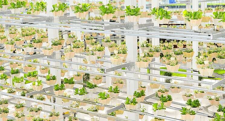 How vertical farming can supplement the food supply chain How vertical farming can supplement the food supply chain