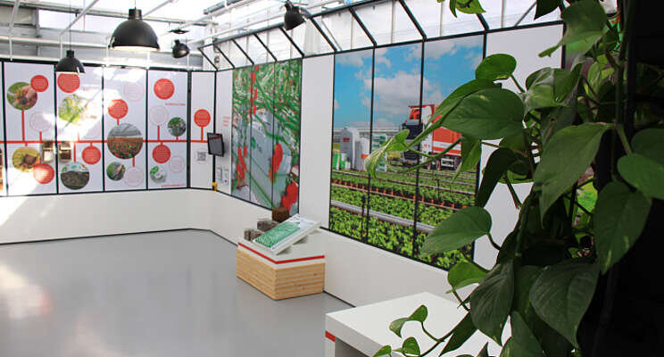 Makeover reception area 'de Kas' Makeover reception area 'de Kas'