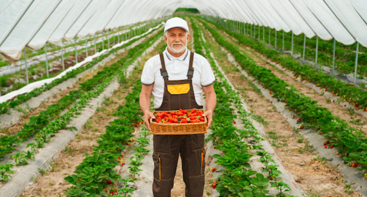 How alternative crops can help you find your market niche How alternative crops can help you find your market niche