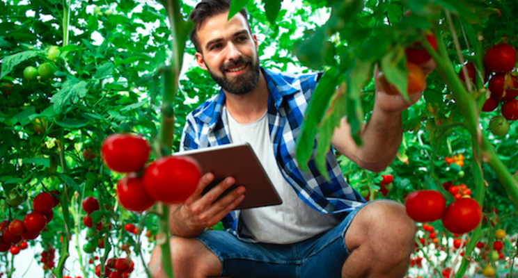 Crop protection sector study Netherlands-Vietnam Crop protection sector study Netherlands-Vietnam