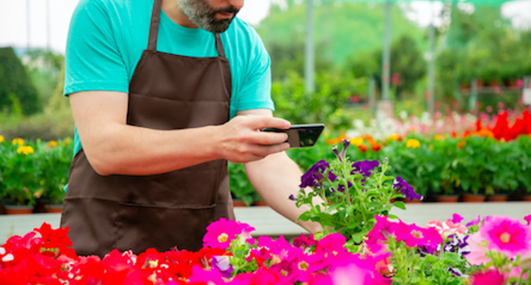 The importance of field trials for the horticulture industry The importance of field trials for the horticulture industry