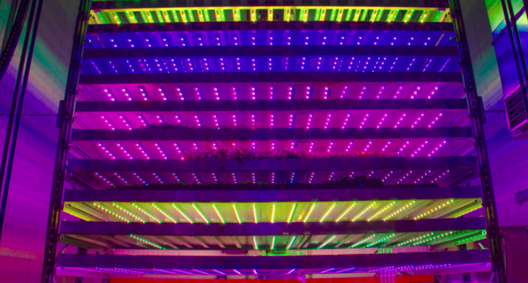 Global investors back Scots vertical farming firm Global investors back Scots vertical farming firm