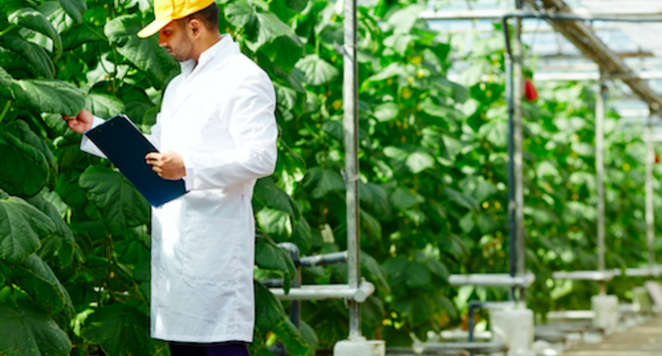 The buzz of secondary metabolites The buzz of secondary metabolites