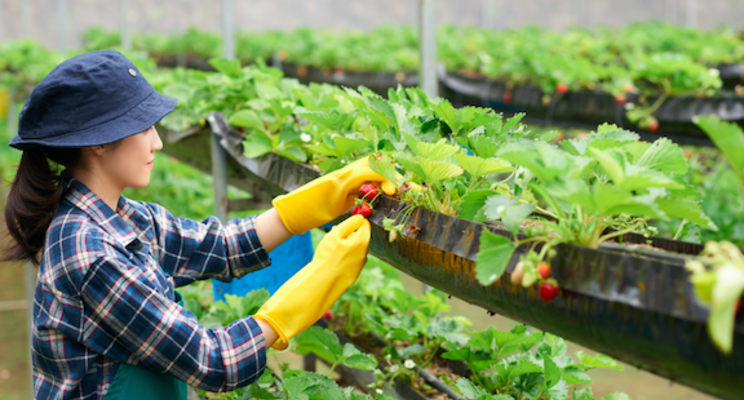 16 women who are creating a more sustainable food system 16 women who are creating a more sustainable food system