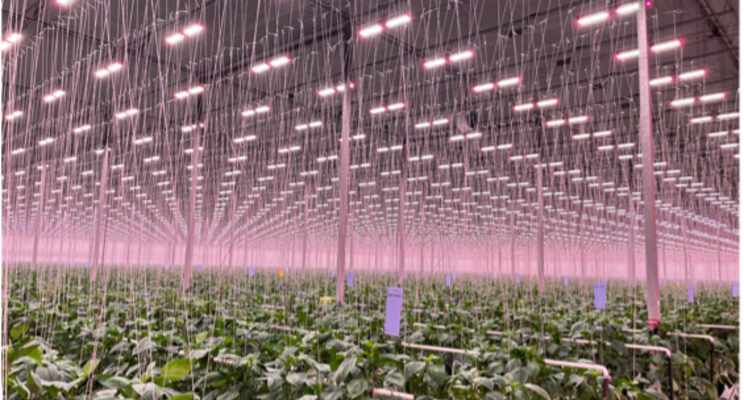 Sollum completes its largest-ever smart led lighting installation Sollum completes its largest-ever smart led lighting installation