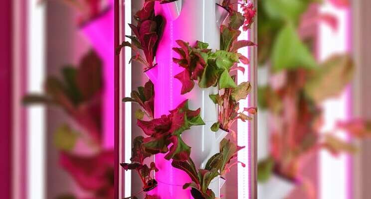 New automated vertical farm tech patented New automated vertical farm tech patented