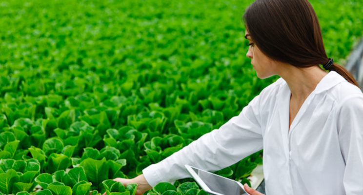 Square Roots, Gordon Food Service open new indoor farm Square Roots, Gordon Food Service open new indoor farm