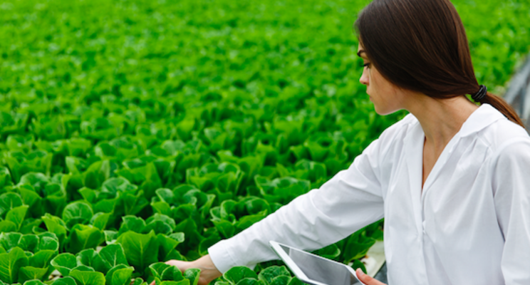 Square Roots, Gordon Food Service open new indoor farm