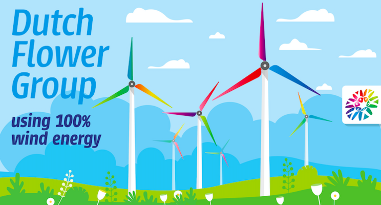 Dutch Flower Group makes full switch to wind energy