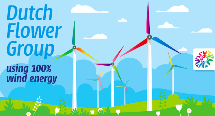 Dutch Flower Group makes full switch to wind energy Dutch Flower Group makes full switch to wind energy