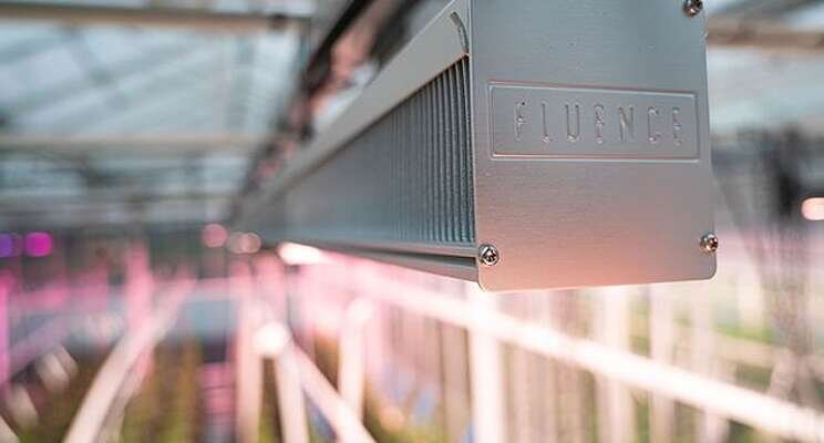 Choosing the right LEDs for your greenhouse Choosing the right LEDs for your greenhouse