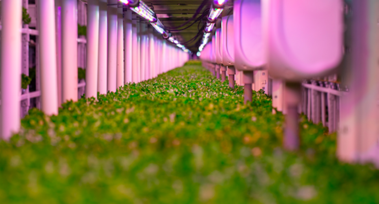 New design makes vertical farming greener
