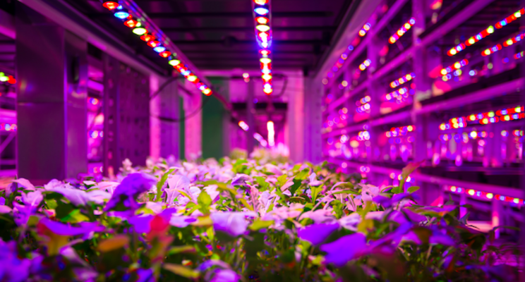 Hands-free farming: UP Vertical Farms allows 24/7 growing Hands-free farming: UP Vertical Farms allows 24/7 growing