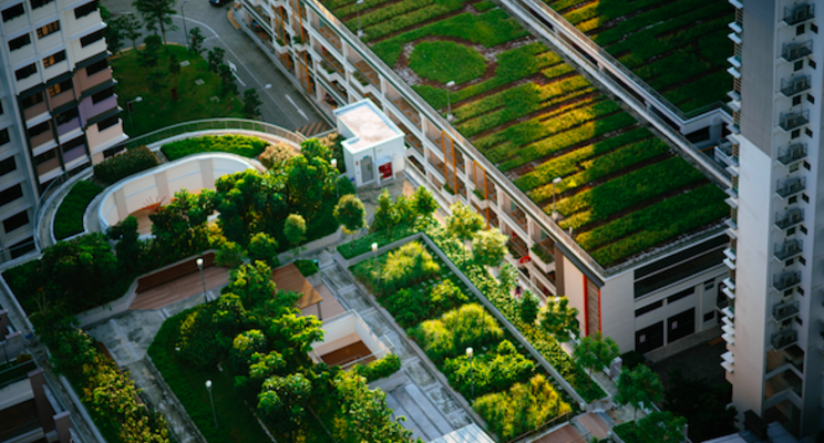 Bowery is forcing us all to look up at the future of vertical agri