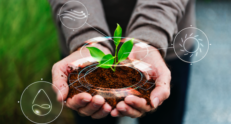 Strategies to shorten crop production time Strategies to shorten crop production time