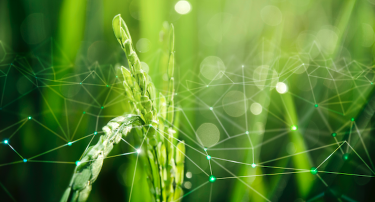How agritech is creating an urban farming ecosytem How agritech is creating an urban farming ecosytem