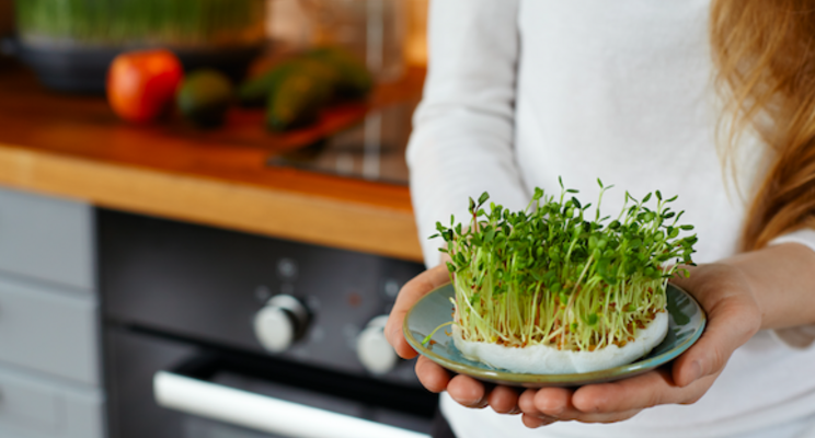 Vertical farming is a space-saving way to grow at home Vertical farming is a space-saving way to grow at home