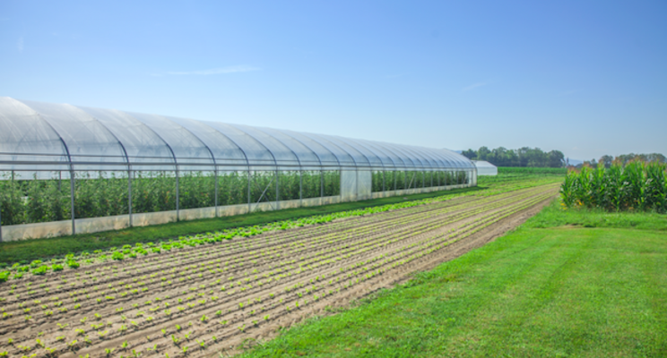 Greenhouse structures supplier GGS acquired by Pipp Horticulture Greenhouse structures supplier GGS acquired by Pipp Horticulture