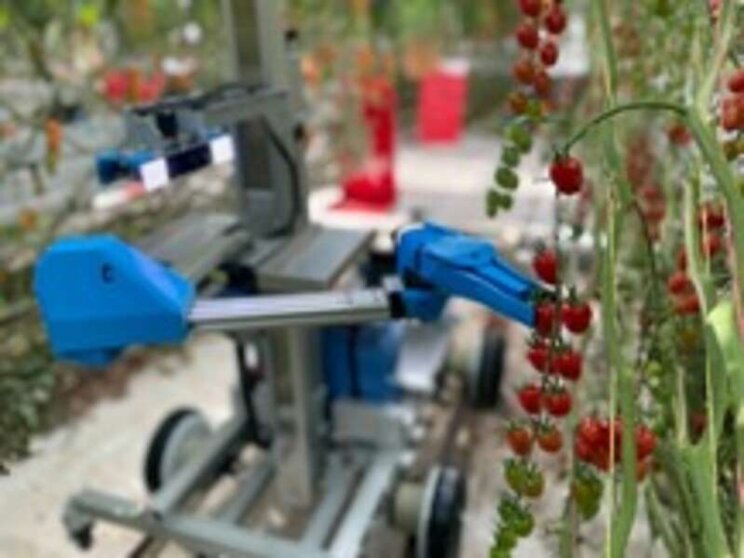 Japanese startup's Tomato Harvesting Robot demonstration