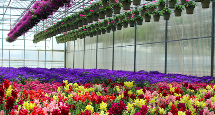 New payment solution for ornamental horticulture New payment solution for ornamental horticulture