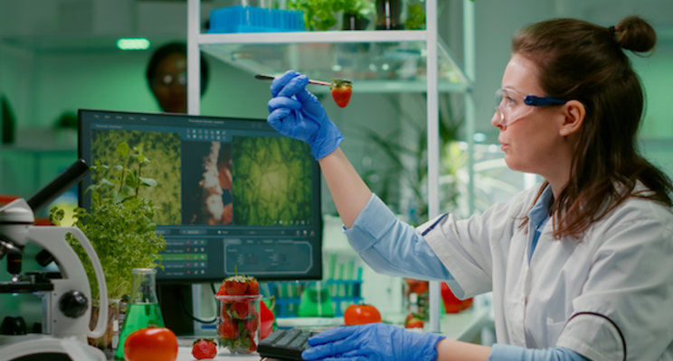 Looking for additional controlled environment food crops? Looking for additional controlled environment food crops?