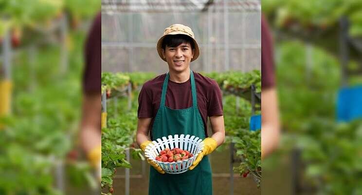Solution from berry growers for agri plastic waste Solution from berry growers for agri plastic waste