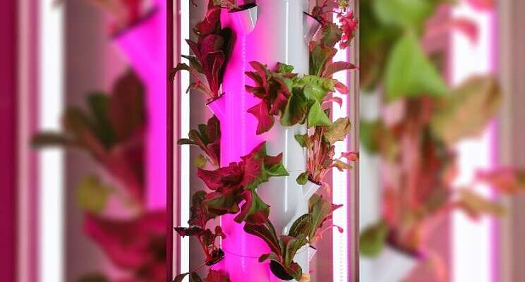 Is a vertical farming business profitable?