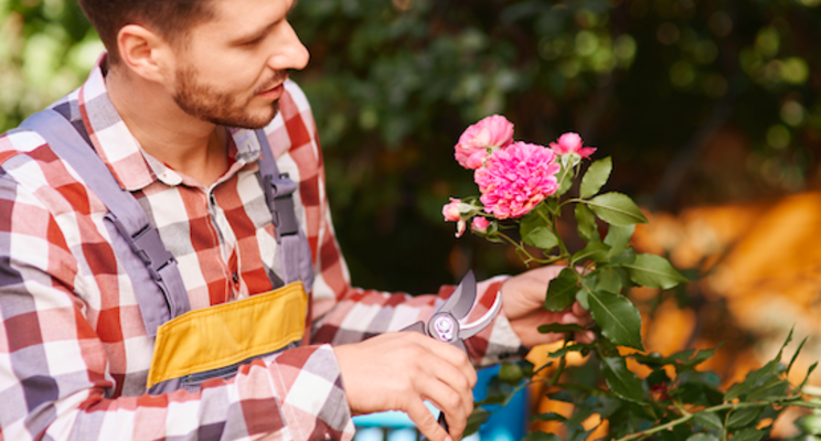 Cut flower farming: Is it right for you? Cut flower farming: Is it right for you?
