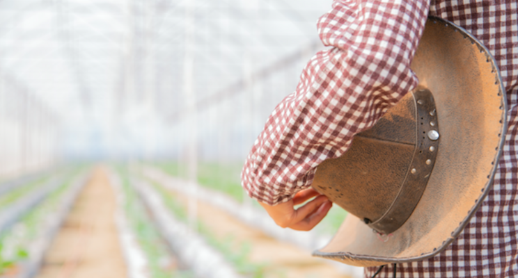Village Farms acquires 80 per cent of Leli Holland Village Farms acquires 80 per cent of Leli Holland