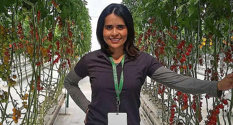 WayBeyond advances tech in Mexico with new appointment WayBeyond advances tech in Mexico with new appointment