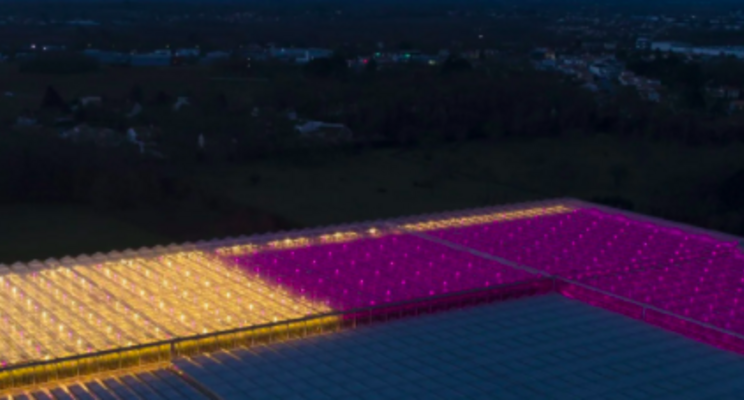 New Hortilux Grow Light System enables phased investment in led