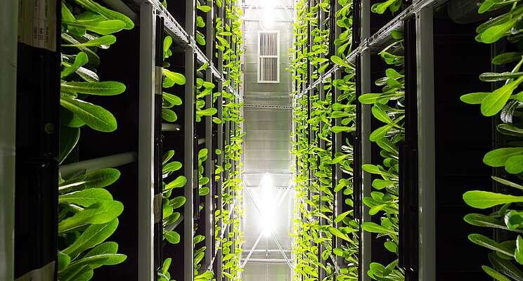 The next generation vertical farming system