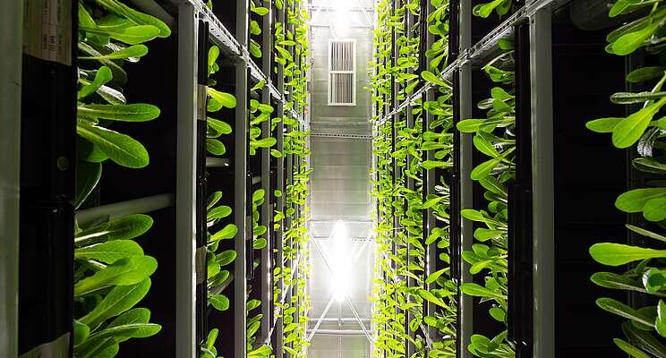 The next generation vertical farming system The next generation vertical farming system